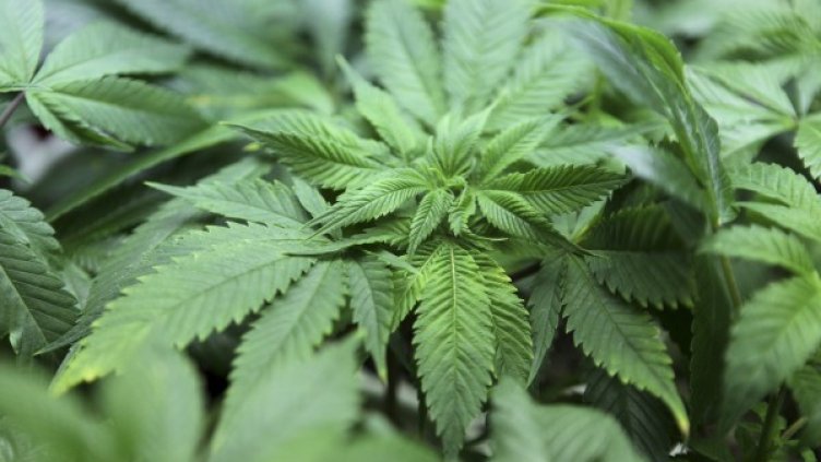 Снимка: архив, Reuters