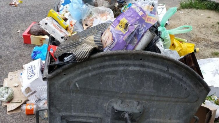 Снимка: архив, БулФото