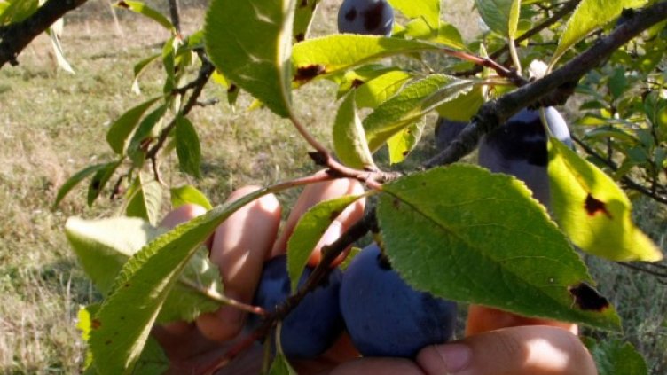 Снимка: архив, Reuters