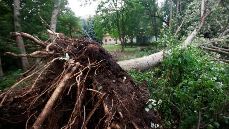 Снимка: архив, Reuters