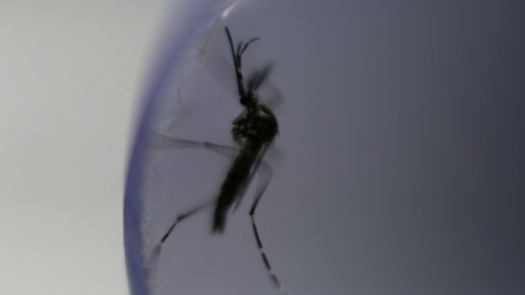 Снимка: архив, Reuters