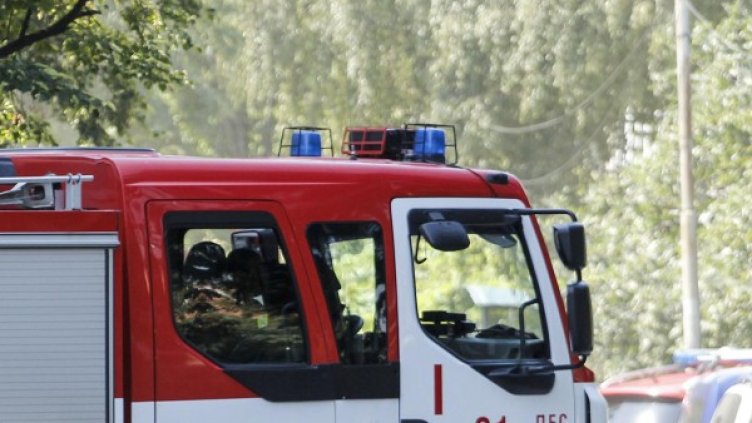 Снимка: архив, Булфото