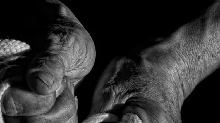 Снимка: Flickr