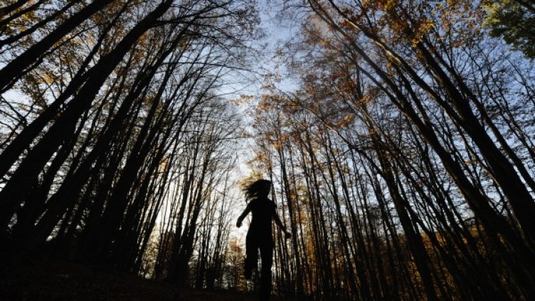 Снимка: Reuters, архив