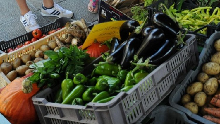 Снимка: архив, Булфото