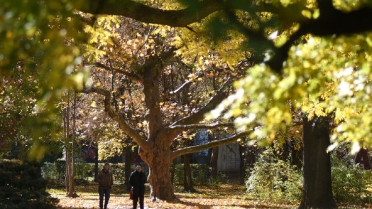 Снимка: архив, Reuters