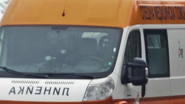 Снимка: Архив, Булфото