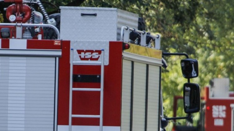 Снимка: Булфото, архив