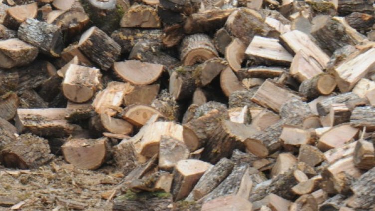 Снимка: архив, БулФото