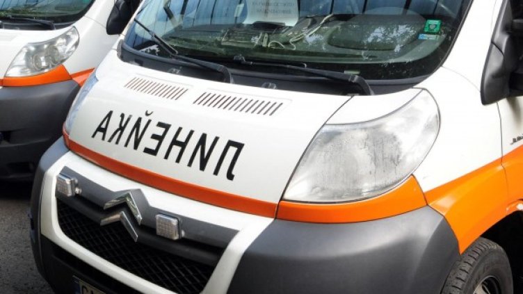 Снимка: Булфото