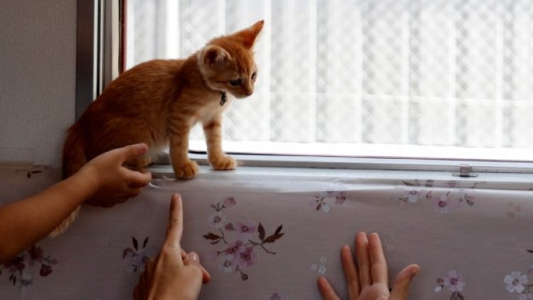 Снимка: Reuters