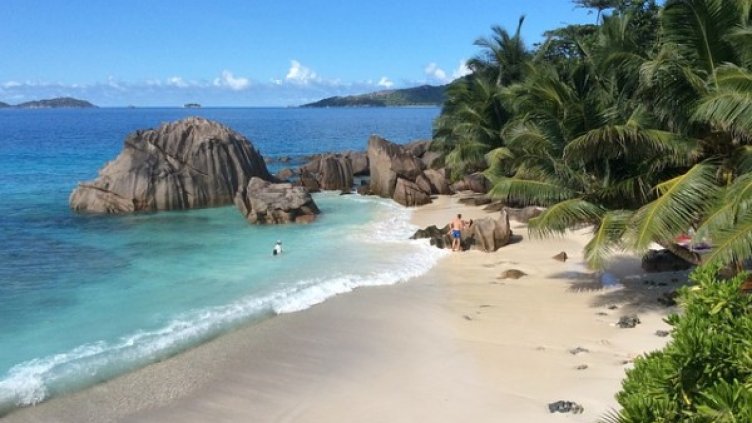 Снимка: pixabay