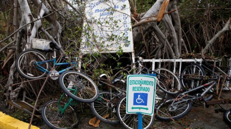 Снимка: Reuters