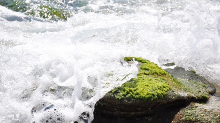 Снимка: Dnes.bg