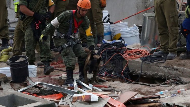 Снимка: Reuters