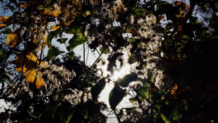 Снимка: visualhunt.com