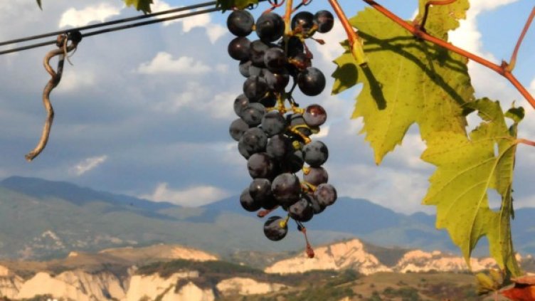 Снимка: архив, Булфото