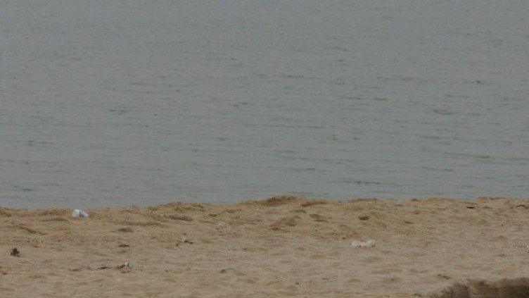 Снимка: Булфото, архив