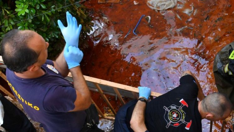 Снимка: архив, Reuters