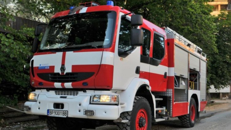 Снимка: Архив, Булфото