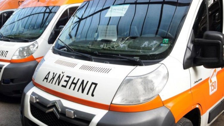 Снимка: Булфото