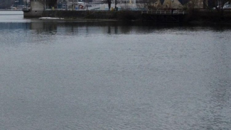 Снимка: Булфото, архив