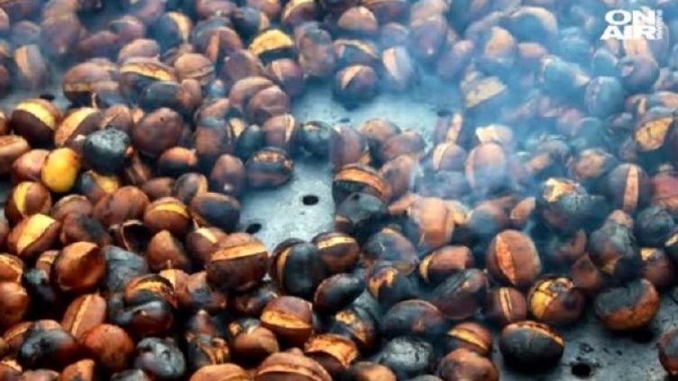 Снимка: Bulgaria ON AIR