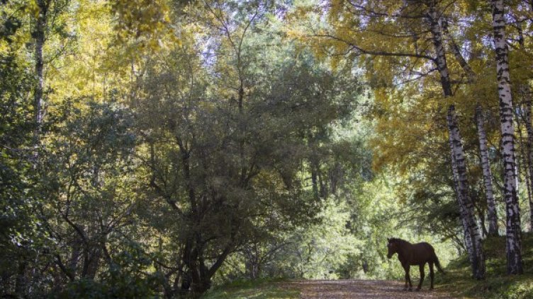 Снимка: архив Reuters