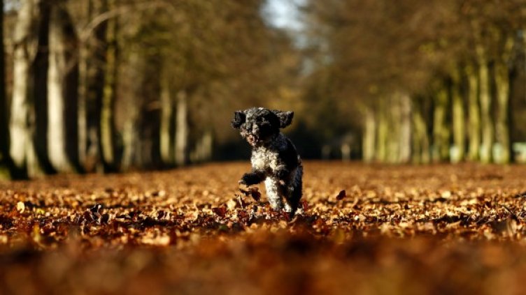 Снимка: архив Reuters