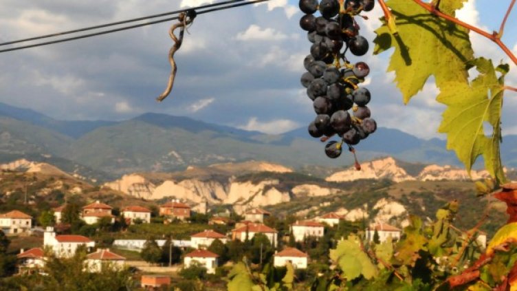 Снимка: архив "Булфото"