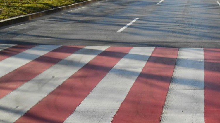 Снимка: архив "Булфото"