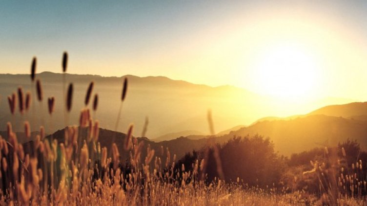 Снимка: flickr