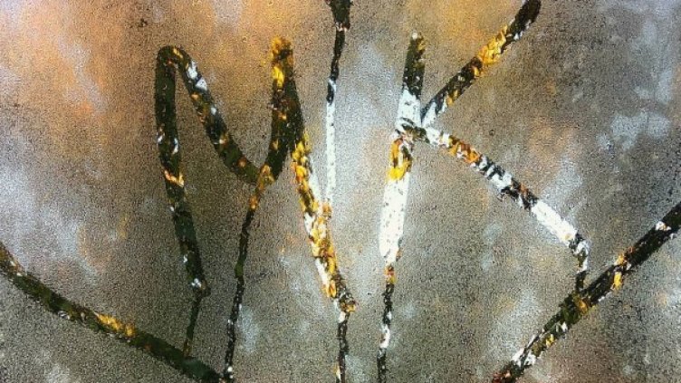 Снимка: Instagram