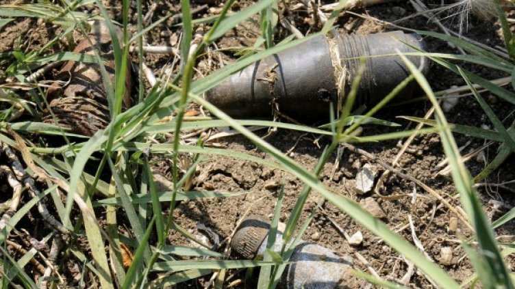 Архив: Булфото