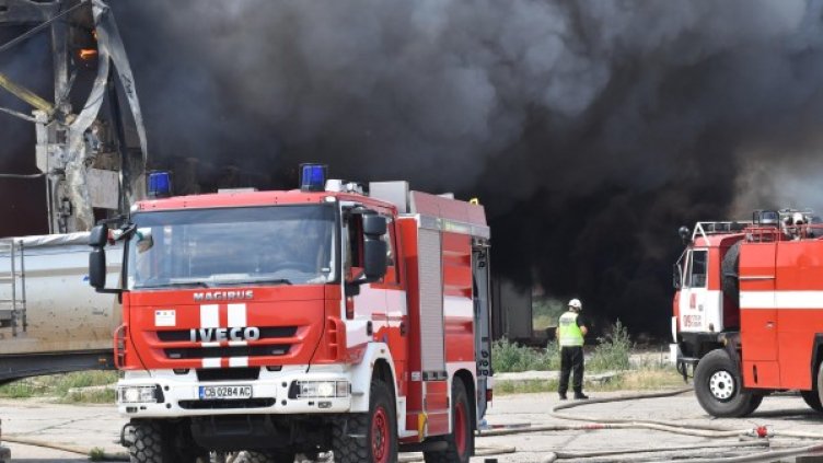 Снимка: архив "Булфото"