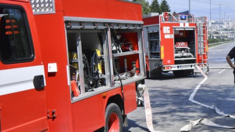 Снимка: Архив, Булфото