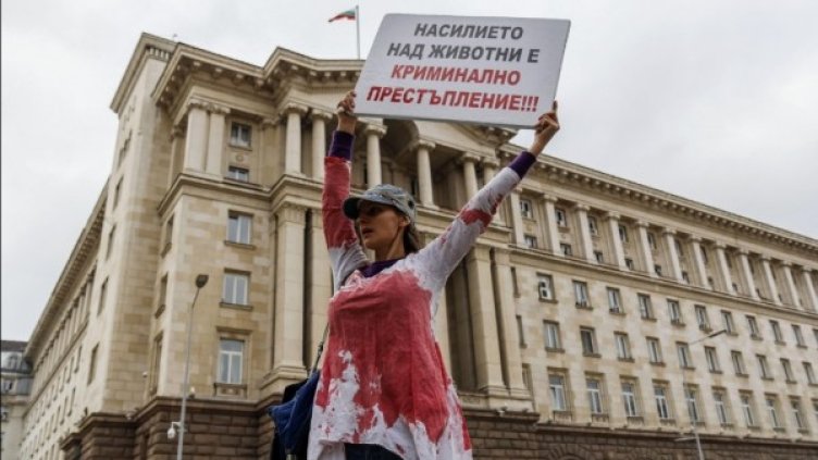 Снимка: Булфото