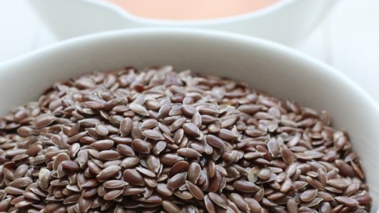 снимка: pixabay