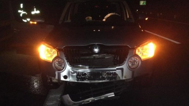 Пострадалият от сблъсъка с прасетата автомобил. Снимка: Facebook