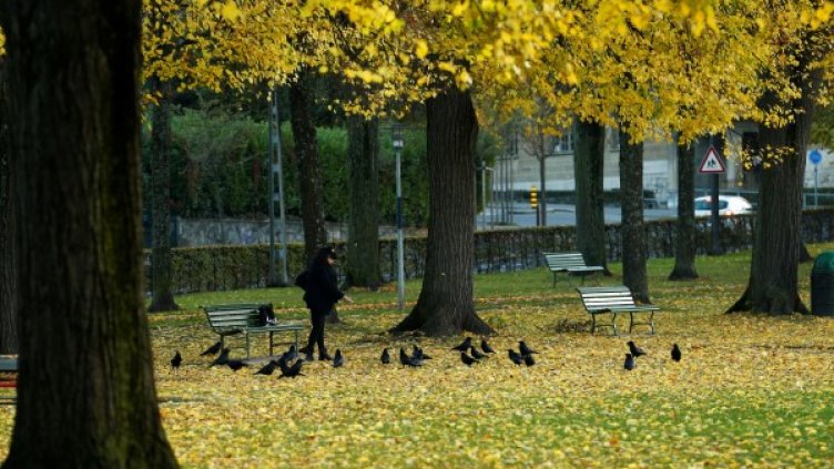 Снимка:  Reuters