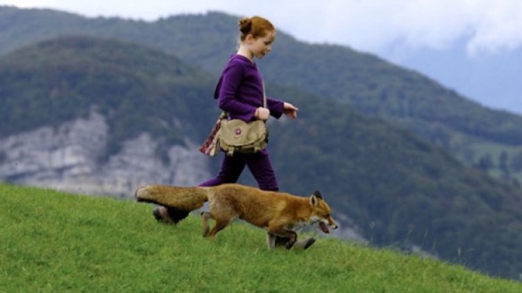 Снимка: Bulgaria ON AIR