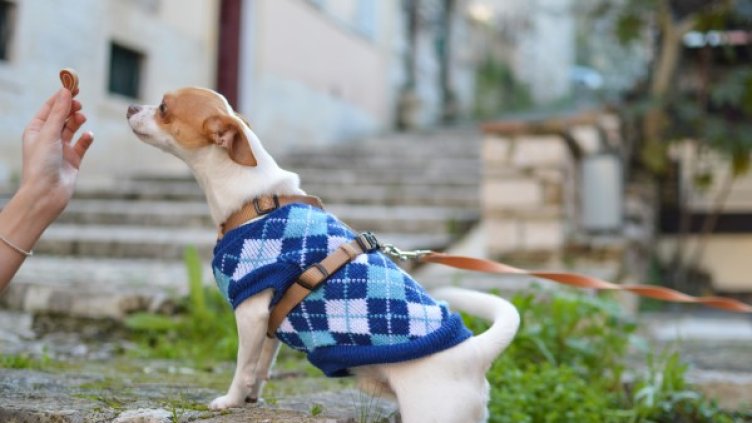 Снимка:unsplash