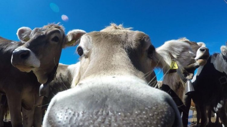 Снимка: Instagram