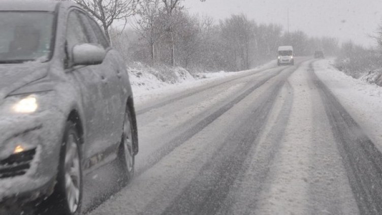 Архив: Булфото