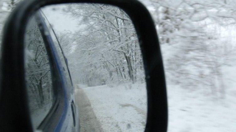 Архив: Булфото