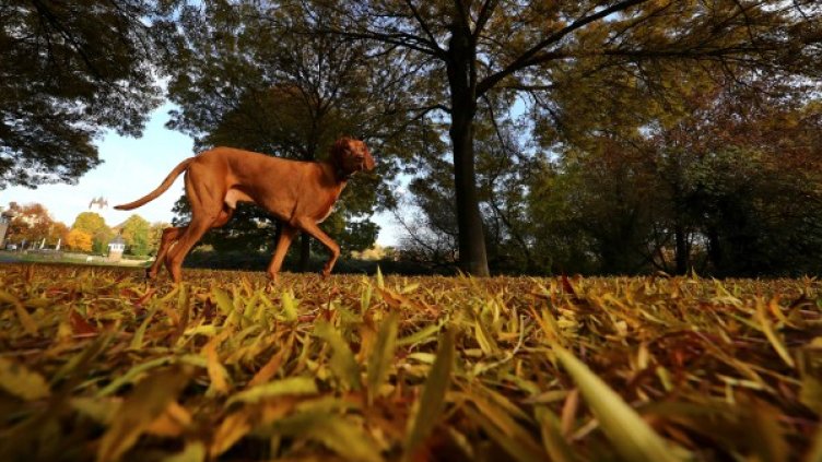 Снимка: архив Reuters
