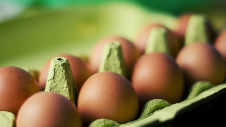 Снимка: visualhunt.com