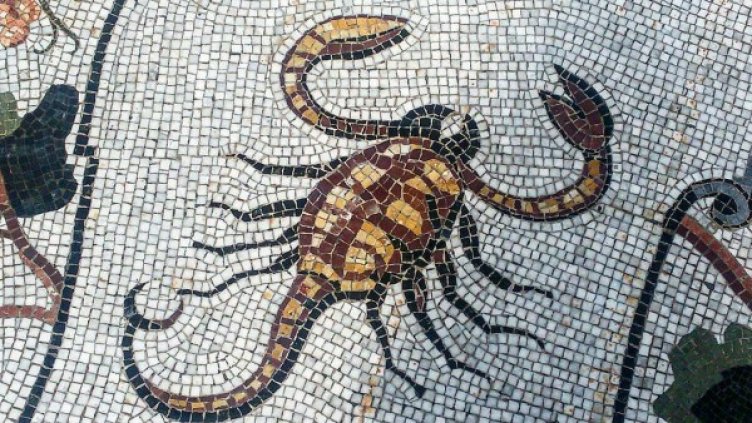 Снимка: Instagram