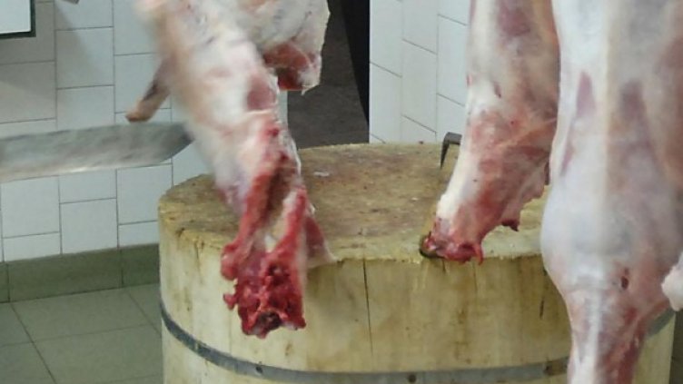 Архив: Булфото