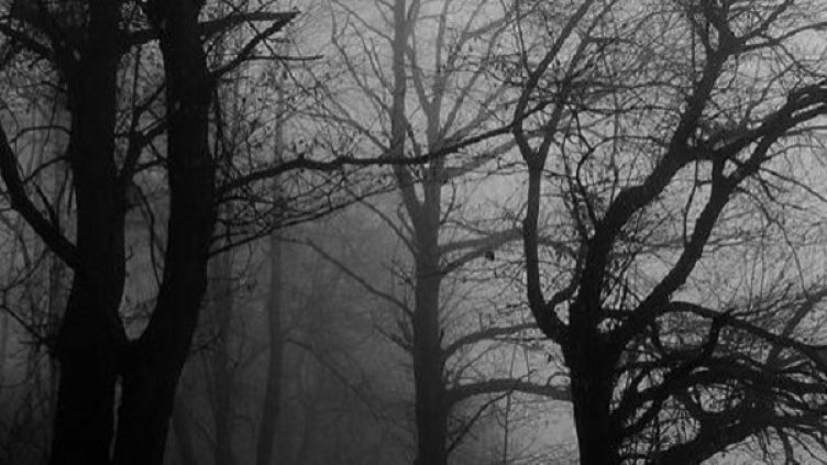 Снимка: Instagram